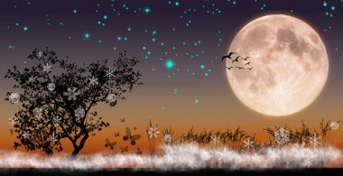 Ay sisli gecesi ve ilk kar taneleri