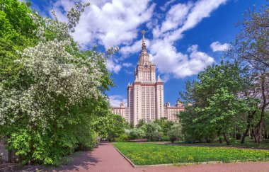 Moskova 'da baharda mavi bulutlu gökyüzünün altında beyaz çiçek açan elma ağaçları ile ünlü üniversitenin güneşli kampüsü