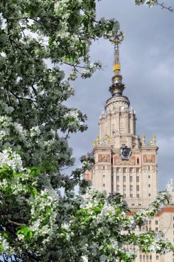 Moskova 'da bulutlu gökyüzünün altında beyaz çiçek açan elma ağaçları olan ünlü üniversitenin güneşli bahar kampüsü