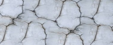 Çimento duvarının arka planında uzun dallı çatlaklar var.