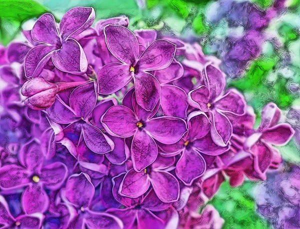 Цифровой Рисунок Ярких Розовых Лиловых Цветов Весной Ботаническом Саду — стоковое фото
