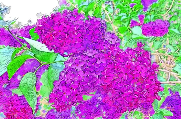 Digital Drawing Vibrant Pink Lilac Flowers Spring Botanical Garden — Fotografia de Stock