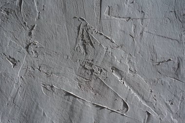 Fotoğraf için arkaplan Gri alçı desenli