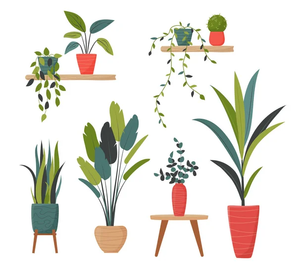 Conjunto Plantas Aisladas Macetas Para Decoración Sala Estar Oficina Paquete — Vector de stock