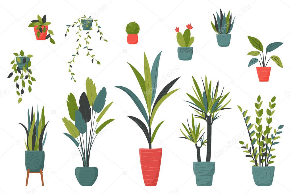 Set of isolated home plants in pots for decor your living room or office. Potted plants bundle, house plants. Vector collection in a flat style.