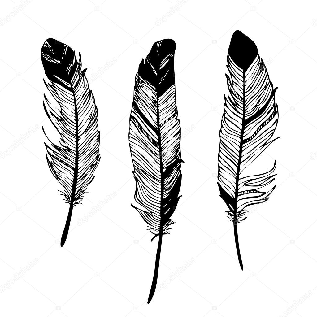 feathers black and white graphic drawing