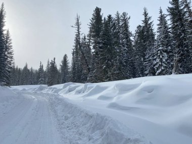 Rus manzaralarının çarpıcı güzelliği