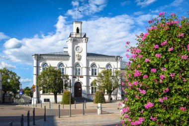 Polonya Ciechanw 'daki Neo-Gotik belediye binası..