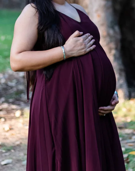 Indyjska Kobieta Ciąży Sukience Trzyma Ręce Brzuchu Ogrodzie Ciąża Macierzyństwo — Zdjęcie stockowe