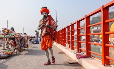 HARIDWAR, INDIA, FEBRUARY 2021: Kumbh festivaline katılan geleneksel safran elbiseli Hint Sadhu 'nun portresi. Maha Kumbh Mela her 12 yılda bir yapılan büyük bir hac yolculuğu..
