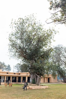 Jim Corbett, Uttarakhand, Hindistan - Mart 2021: Jim Corbett milli parkı Dhikala bölgesindeki orman dinlenme evlerinin mimari görünümü.