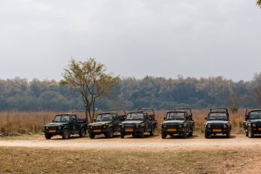 Jim Corbett, Uttarakhand, Hindistan - Mart 2021: Jim Corbett milli parkı Dhikala bölgesindeki orman dinlenme evlerinin mimari görünümü.