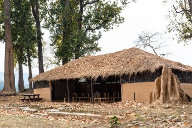 Jim Corbett, Uttarakhand, Hindistan - Mart 2021: Jim Corbett milli parkı Dhikala bölgesindeki orman dinlenme evlerinin mimari görünümü.