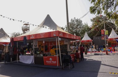 NEW DELHI, INDIA - FEBRUARY 2021: Hindistan 'daki kabile ve küçük topluluklardan el yapımı ürünlerini satmak için satıcılarla Hunar Haat fuarındaki pazar dükkanlarının manzarası.