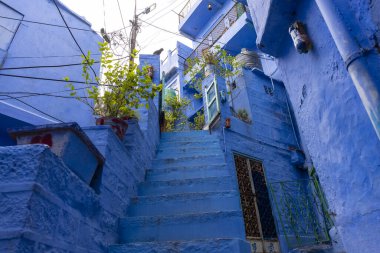 JODHPUR, RAJASTHAN, INDIA - HAZİRAN 2021: Mavi Jodhpur şehrinin parlak mavi renkli caddesi ve evleri.