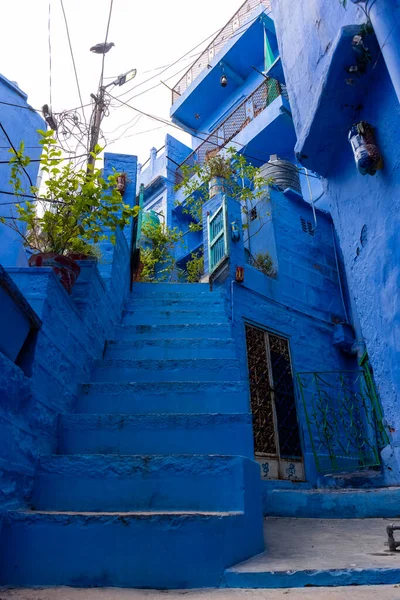 Jodhpur Rajasthan Índia Julho 2021 Rua Cor Azul Brilhante Casas — Fotografia de Stock