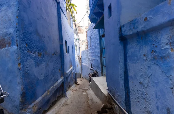 Jodhpur Rajasthan India Juli 2021 Felblauwe Kleur Straat Huizen Van — Stockfoto