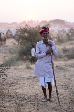 Puşkar, Rajasthan, Hindistan - 10 Kasım 2024: Geleneksel beyaz giysili rajasthani erkek portresi çöl panayırında renkli türbanla deve pazarında develeri takas ederken.