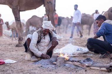 Puşkar, Rajasthan, Hindistan - 10 Kasım 2024: Geleneksel beyaz giysili rajasthani erkek portresi çöl panayırında renkli türbanla deve pazarında develeri takas ederken.