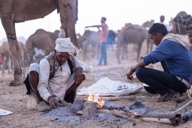 Puşkar, Rajasthan, Hindistan - 10 Kasım 2024: Geleneksel beyaz giysili rajasthani erkek portresi çöl panayırında renkli türbanla deve pazarında develeri takas ederken.