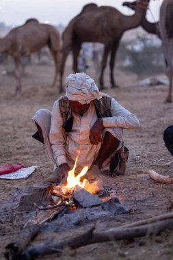 Puşkar, Rajasthan, Hindistan - 10 Kasım 2024: Geleneksel beyaz giysili rajasthani erkek portresi çöl panayırında renkli türbanla deve pazarında develeri takas ederken.