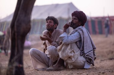 Puşkar, Rajasthan, Hindistan - 10 Kasım 2024: Geleneksel beyaz giysili rajasthani erkek portresi çöl panayırında renkli türbanla deve pazarında develeri takas ederken.