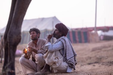 Puşkar, Rajasthan, Hindistan - 10 Kasım 2024: Geleneksel beyaz giysili rajasthani erkek portresi çöl panayırında renkli türbanla deve pazarında develeri takas ederken.