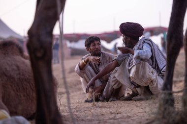 Puşkar, Rajasthan, Hindistan - 10 Kasım 2024: Geleneksel beyaz giysili rajasthani erkek portresi çöl panayırında renkli türbanla deve pazarında develeri takas ederken.