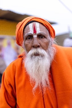 Prayagraj, Uttar Pradesh, Hindistan - 15 Ocak 2025: Mahakumbh, Pereagraj 'da kışın ibadet ve ayinleri gerçekleştirmek için kumbh mela' ya katılan kutsal dindarların portresi.