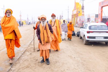 Prayagraj, Uttar Pradesh, Hindistan - 15 Ocak 2025: Mahakumbh, Pereagraj 'daki kumbh mela' ya katılan bir grup dindar, kış sabahı ibadet ve ayinleri gerçekleştirmek için.