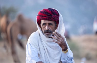 Puşkar, Rajasthan, Hindistan - 11 Kasım 2024: Geleneksel beyaz giysili rajasthani erkek portresi çöl panayırında renkli türbanla deve pazarında deve ticareti yaparken.