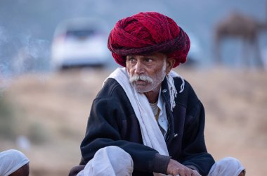 Puşkar, Rajasthan, Hindistan - 11 Kasım 2024: Geleneksel beyaz giysili rajasthani erkek portresi çöl panayırında renkli türbanla deve pazarında deve ticareti yaparken.