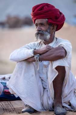 Puşkar, Rajasthan, Hindistan - 11 Kasım 2024: Geleneksel beyaz giysili rajasthani erkek portresi çöl panayırında renkli türbanla deve pazarında deve ticareti yaparken.