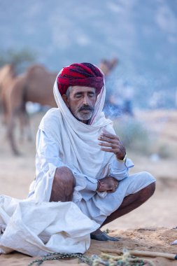 Puşkar, Rajasthan, Hindistan - 11 Kasım 2024: Geleneksel beyaz giysili rajasthani erkek portresi çöl panayırında renkli türbanla deve pazarında deve ticareti yaparken.
