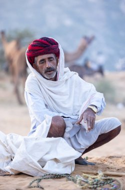 Puşkar, Rajasthan, Hindistan - 11 Kasım 2024: Geleneksel beyaz giysili rajasthani erkek portresi çöl panayırında renkli türbanla deve pazarında deve ticareti yaparken.