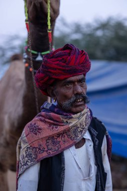Puşkar, Rajasthan, Hindistan - 11 Kasım 2024: Geleneksel beyaz giysili rajasthani erkek portresi çöl panayırında renkli türbanla deve pazarında deve ticareti yaparken.