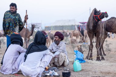 Puşkar, Rajasthan, Hindistan - 11 Kasım 2024: Geleneksel beyaz giysili rajasthani erkek portresi çöl panayırında renkli türbanla deve pazarında deve ticareti yaparken.