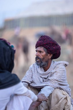 Puşkar, Rajasthan, Hindistan - 11 Kasım 2024: Geleneksel beyaz giysili rajasthani erkek portresi çöl panayırında renkli türbanla deve pazarında deve ticareti yaparken.