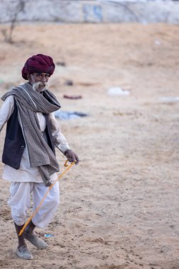 Puşkar, Rajasthan, Hindistan - 11 Kasım 2024: Geleneksel beyaz giysili rajasthani erkek portresi çöl panayırında renkli türbanla deve pazarında deve ticareti yaparken.