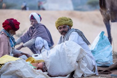 Puşkar, Rajasthan, Hindistan - 11 Kasım 2024: Geleneksel beyaz giysili rajasthani erkek portresi çöl panayırında renkli türbanla deve pazarında deve ticareti yaparken.
