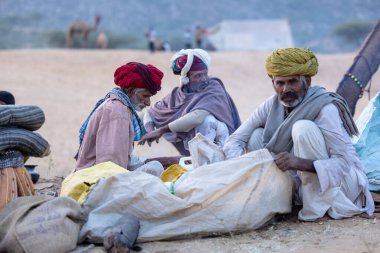 Puşkar, Rajasthan, Hindistan - 11 Kasım 2024: Geleneksel beyaz giysili rajasthani erkek portresi çöl panayırında renkli türbanla deve pazarında deve ticareti yaparken.