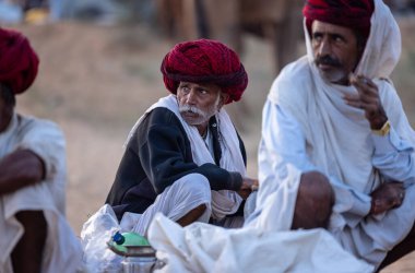 Puşkar, Rajasthan, Hindistan - 11 Kasım 2024: Geleneksel beyaz giysili rajasthani erkek portresi çöl panayırında renkli türbanla deve pazarında deve ticareti yaparken.