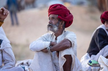 Puşkar, Rajasthan, Hindistan - 11 Kasım 2024: Geleneksel beyaz giysili rajasthani erkek portresi çöl panayırında renkli türbanla deve pazarında deve ticareti yaparken.