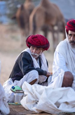 Puşkar, Rajasthan, Hindistan - 11 Kasım 2024: Geleneksel beyaz giysili rajasthani erkek portresi çöl panayırında renkli türbanla deve pazarında deve ticareti yaparken.