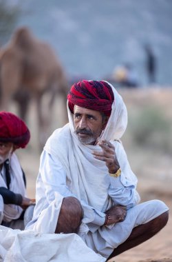 Puşkar, Rajasthan, Hindistan - 11 Kasım 2024: Geleneksel beyaz giysili rajasthani erkek portresi çöl panayırında renkli türbanla deve pazarında deve ticareti yaparken.