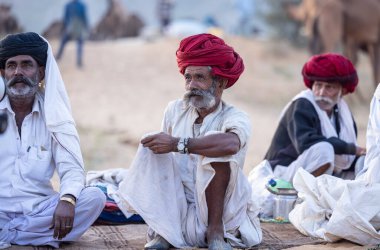 Puşkar, Rajasthan, Hindistan - 11 Kasım 2024: Geleneksel beyaz giysili rajasthani erkek portresi çöl panayırında renkli türbanla deve pazarında deve ticareti yaparken.