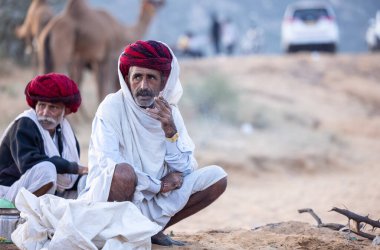 Puşkar, Rajasthan, Hindistan - 11 Kasım 2024: Geleneksel beyaz giysili rajasthani erkek portresi çöl panayırında renkli türbanla deve pazarında deve ticareti yaparken.