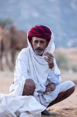 Puşkar, Rajasthan, Hindistan - 11 Kasım 2024: Geleneksel beyaz giysili rajasthani erkek portresi çöl panayırında renkli türbanla deve pazarında deve ticareti yaparken.