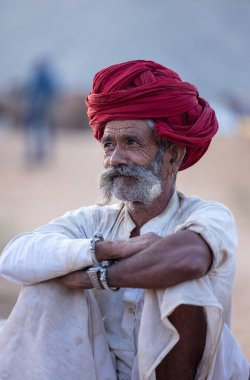 Puşkar, Rajasthan, Hindistan - 11 Kasım 2024: Geleneksel beyaz giysili rajasthani erkek portresi çöl panayırında renkli türbanla deve pazarında deve ticareti yaparken.