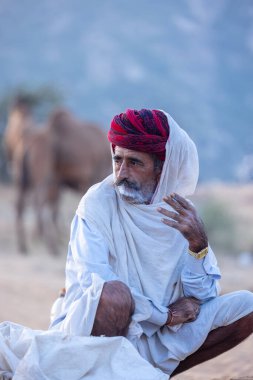 Puşkar, Rajasthan, Hindistan - 11 Kasım 2024: Geleneksel beyaz giysili rajasthani erkek portresi çöl panayırında renkli türbanla deve pazarında deve ticareti yaparken.